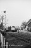 img871 TM Crossing Gates Elsenham Cambs 8 Mar 81 copyright Final.jpg