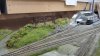 IMG_20210926_130420_1.jpg