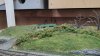 IMG_20210926_130856_1.jpg