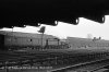 img902 TM Old Oak Lineside April 1963 copyright Final.jpg