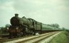 7019 Fowey Castle climbing Hatton Bank May63.jpg