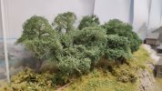 IMG_20220115_180437.jpg