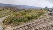 IMG_20220412_125718.jpg