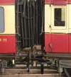 WEB LMS coupling 1.jpg