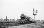 img1035 TM Jun 63 4472 GC Railtour Passing Neasden copyright Final.jpg