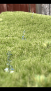 9C892EB6-4C68-4D22-BBC2-9E33E344CD4B.png 9C892EB6-4C68-4D22-BBC2-9E33E344CD4B.png