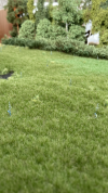 B3F462F3-B00E-42DA-9C2A-9CC225A0065D.png B3F462F3-B00E-42DA-9C2A-9CC225A0065D.png