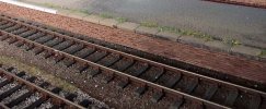WEB Llanfair Platfrm 9B.jpg