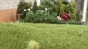 157007A3-B3D1-47FB-AA34-D6B15FF4B036.png 157007A3-B3D1-47FB-AA34-D6B15FF4B036.png
