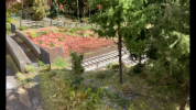 6F027358-63B9-4297-8A6D-3BFFB6EFC02E.png