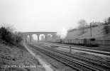 img1527 TM Neg Strip 49 45197 down freight Bushey Troughs 28 Mar 62 copyright Final.jpg