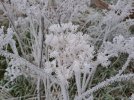 20221211_153239.jpg 20221211_153239.jpg