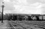 img1599 TM Ulster Rail Scenes Irish 1 1958 General view Adelaide MPD Aug 60 copyright Final.jpg