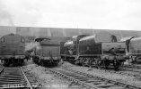 img1600 TM Ulster Rail Scenes Irish 1 1958 Rear of unknown WT56 , QLG actually UG poss 48 and ...jpg