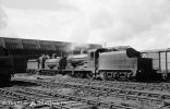 img1606 TM Ulster Rail Scenes Irish 1 1958 Unknown UG No 48 nearest and AL 0-6-0s On shed Adel...jpg
