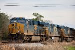 cordele036A6594.jpg