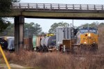 cordele036A6596.jpg