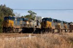 cordele036A6609.jpg