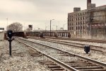 20230308_124706.JPG