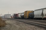 mannh_Z9R4690.jpg
