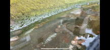 IMG_6095.png IMG_6095.png