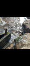 IMG_6111.png IMG_6111.png