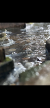 IMG_6110.png IMG_6110.png