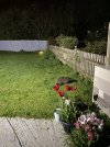 IMG_2441.jpeg IMG_2441.jpeg