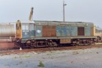 DSC_0087.JPG