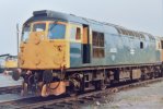DSC_0088.JPG