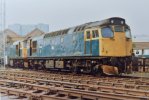 DSC_0098.JPG