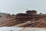 DSC_0161.JPG