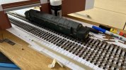 IMG_5614.jpeg