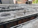 IMG_6920.jpeg