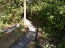 hhSAM_8828.JPG hhSAM_8828.JPG