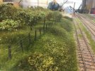 IMG_1427.jpeg