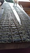 IMG_20230817_125444.jpg