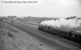 img2257 TM Neg Strip 55 45050 up extra Bridge south of Kenton Stn 19 Apr 62 copyright Final.jpg