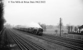 img2270 TM Neg Strip 55 46229 up express Bridge north of Kenton Stn 19 Apr 62 copyright Final.jpg