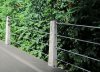 Weathered Fence Post.JPG