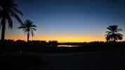 IMG_20231115_182505.jpg
