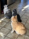 IMG_1962.jpeg