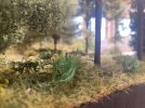 IMG_8518.jpeg