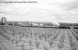 img2659 TM Neg Strip 31 33031 Tonbridge to Maidstone East South of Paddock Wood 10 Jun 61 copy...jpg