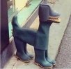 IMG_0382.jpeg