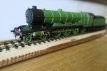 IMG_6725.jpeg