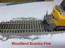 Woodland Fine.jpg