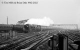 img2754 TM Neg Strip 78 35018 10.30 am Bournemouth Clapham Jnctn 15 Nov 62 copyright Final.jpg