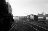 img2785 TM Neg Strip 78 Unknown Q1 freight from Staines Wibledon Down Yard 15 Nov 62 Final.jpg