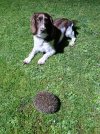 IMG-20240420-WA0000.jpg IMG-20240420-WA0000.jpg